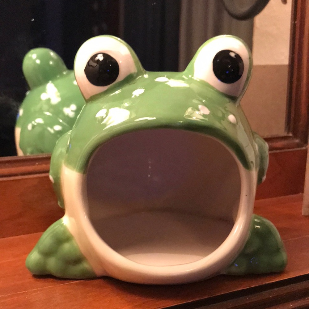 Kitchen sponge frog ceramic